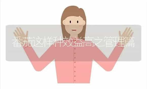 番茄这样种效益高之管理篇 | 植物科普