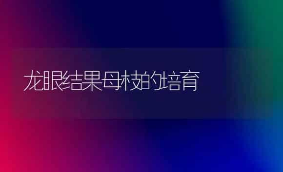 荷花的栽培与管理技术要点 | 植物科普