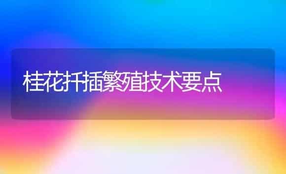 桂花扦插繁殖技术要点 | 植物科普