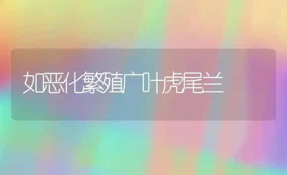 如恶化繁殖广叶虎尾兰 | 植物科普