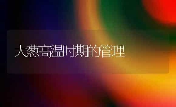大葱高温时期的管理 | 植物科普