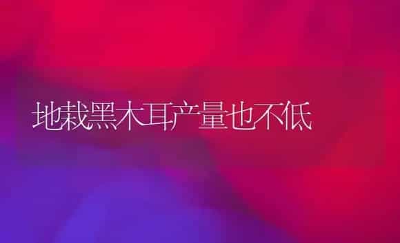 地栽黑木耳产量也不低 | 植物科普