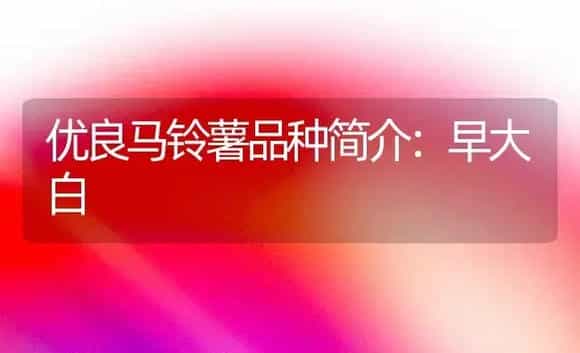 优良马铃薯品种简介：早大白 | 植物百科