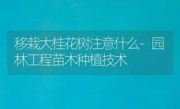 移栽大桂花树注意什么-园林工程苗木种植技术 | 植物科普