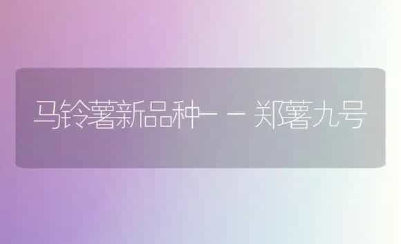 鲜食大枣品种介绍 | 植物百科