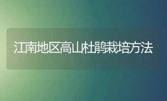 江南地区高山杜鹃栽培方法 | 植物知识
