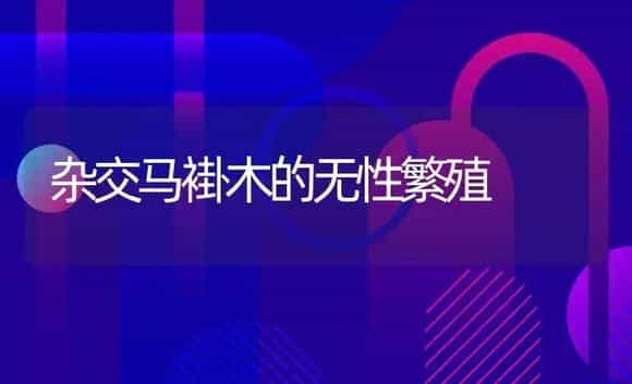 杂交马褂木的无性繁殖 | 植物知识