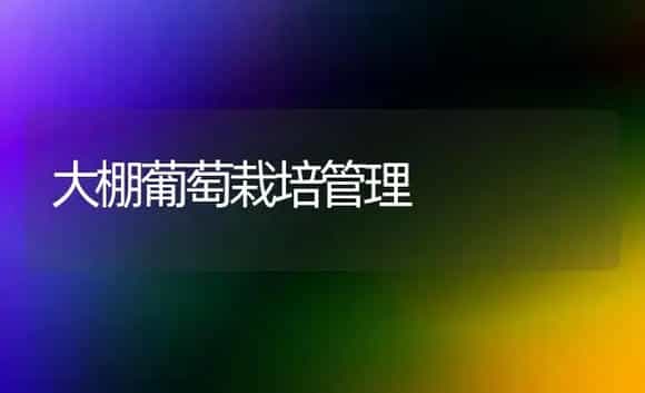 秦玉番茄品种简介 | 植物科普