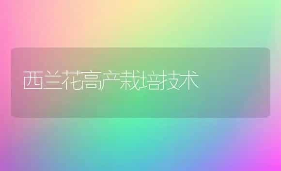 安蔬铁杆王大葱无公害栽培技术 | 植物科普