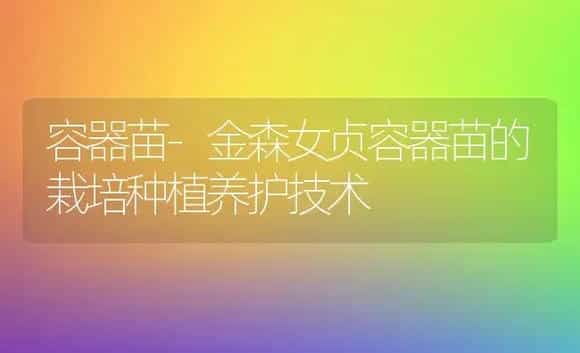 容器苗-金森女贞容器苗的栽培种植养护技术 | 植物科普