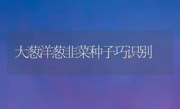 大葱洋葱韭菜种子巧识别 | 植物百科
