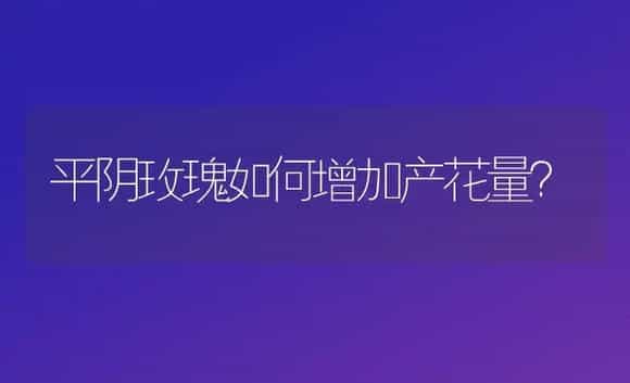 平阴玫瑰如何增加产花量？ | 植物科普