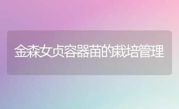 金森女贞容器苗的栽培管理 | 植物科普
