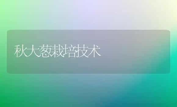 秋大葱栽培技术 | 植物科普
