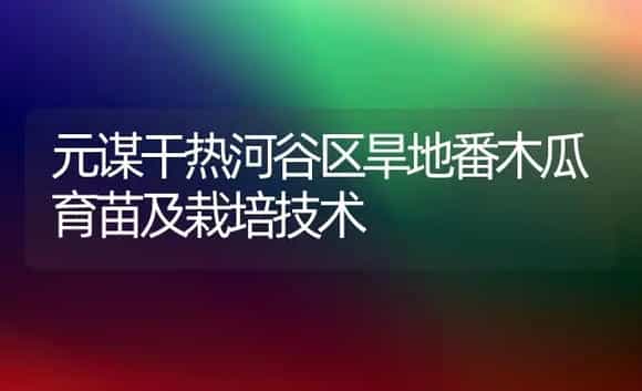 郁金香的养护方法 | 植物科普