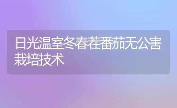 日光温室冬春茬番茄无公害栽培技术 | 植物科普