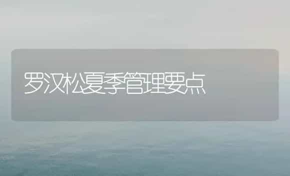 罗汉松夏季管理要点 | 植物科普