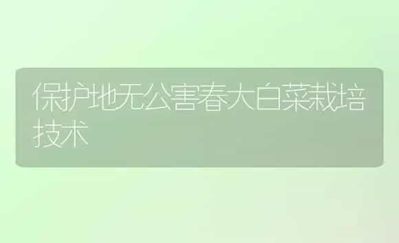 保护地无公害春大白菜栽培技术 | 植物科普