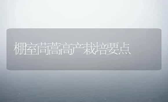 空调环境宜养四种兰：君子兰 米兰 吊兰 虎尾兰-花卉苗木养护管理 | 植物科普