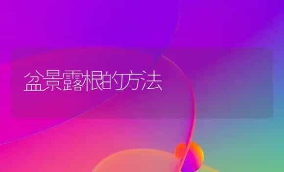 利用薄膜温室促成栽培郁金香 | 植物科普