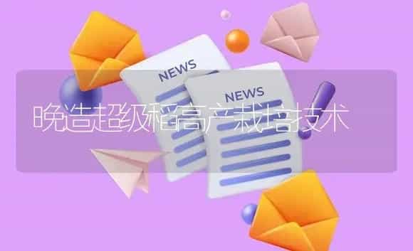 晚造超级稻高产栽培技术 | 植物资料