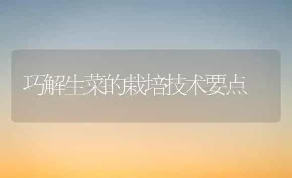 巧解生菜的栽培技术要点 | 植物科普