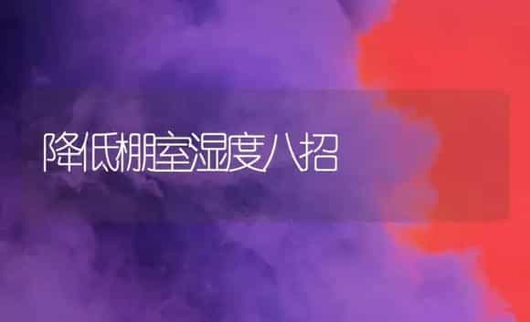降低棚室湿度八招 | 植物百科