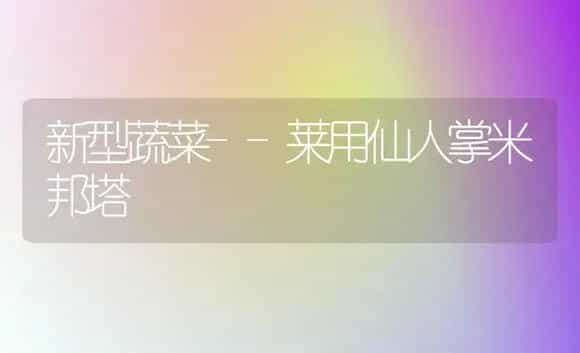 女贞价值用途 | 植物科普