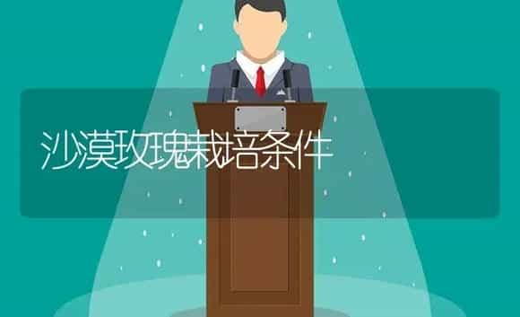 沙漠玫瑰栽培条件 | 植物科普
