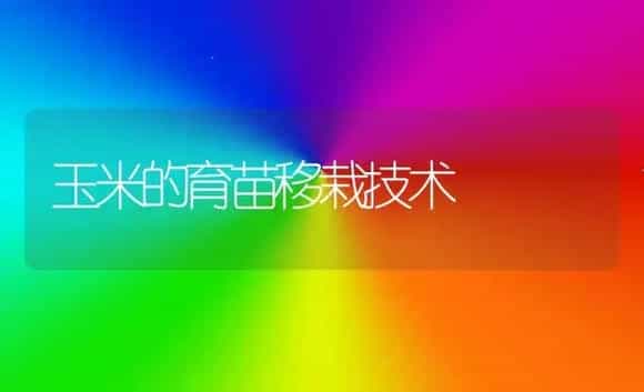 地栽黑木耳采后的管理五方法 | 植物科普