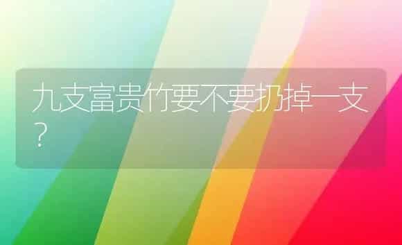 九支富贵竹要不要扔掉一支? | 植物问答