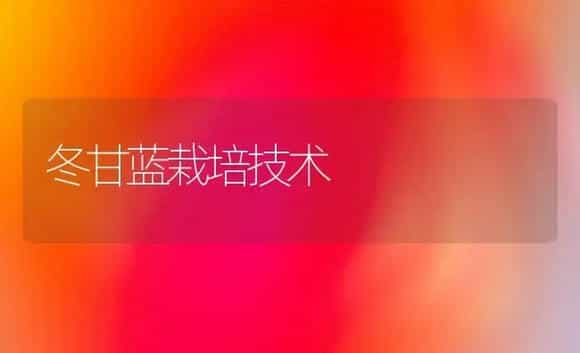 桂花水插靠接 | 植物科普
