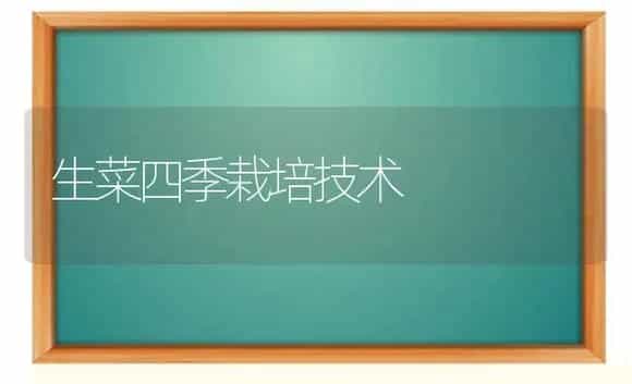 生菜四季栽培技术 | 植物科普
