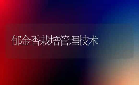 郁金香栽培管理技术 | 植物科普