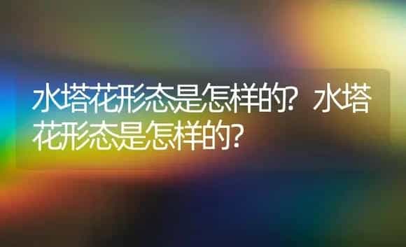 水塔花形态是怎样的?水塔花形态是怎样的？ | 植物问答