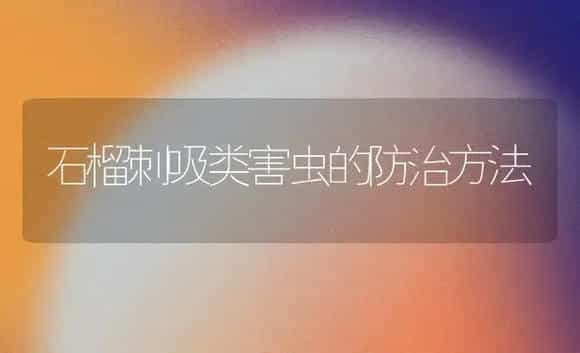 石榴刺吸类害虫的防治方法 | 植物百科