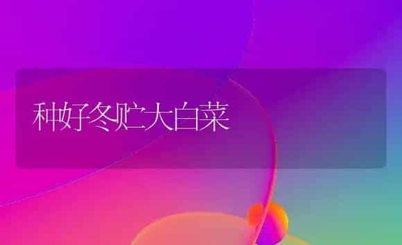 种好冬贮大白菜 | 植物科普