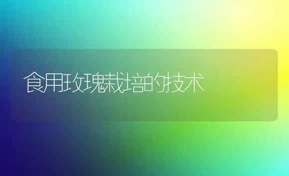 食用玫瑰栽培的技术 | 植物科普
