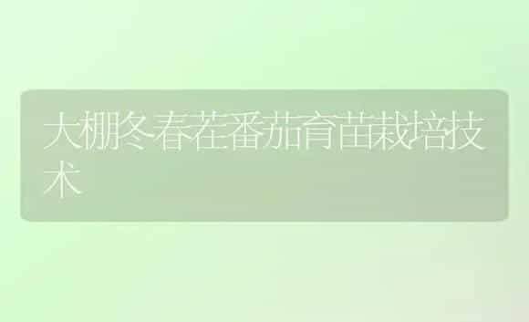 大棚冬春茬番茄育苗栽培技术 | 植物科普