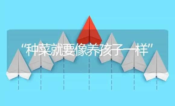 “种菜就要像养孩子一样” | 植物资料