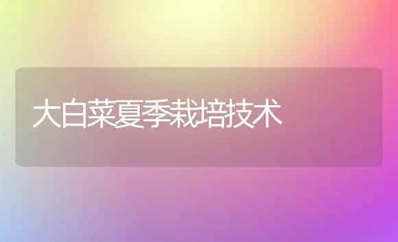 大白菜夏季栽培技术 | 植物科普