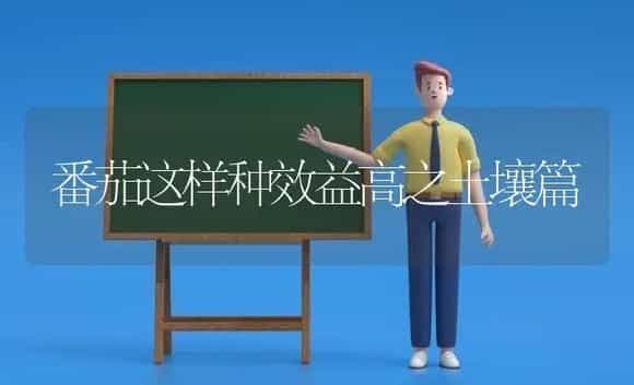 番茄这样种效益高之土壤篇 | 植物科普