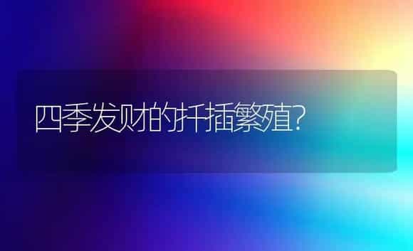 四季发财的扦插繁殖？ | 植物问答