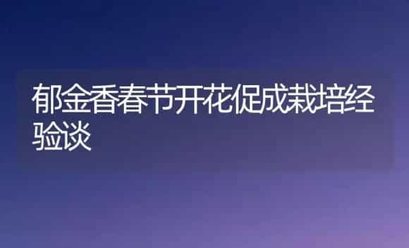 郁金香春节开花促成栽培经验谈 | 植物科普
