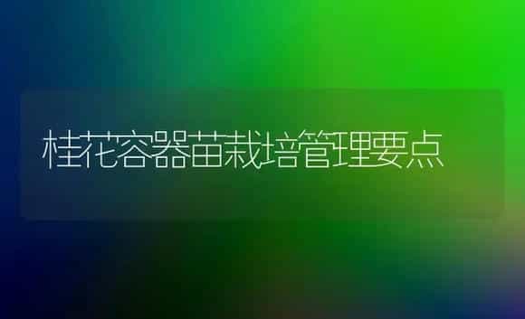 桂花容器苗栽培管理要点 | 植物科普