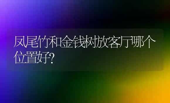 凤尾竹和金钱树放客厅哪个位置好？ | 植物问答