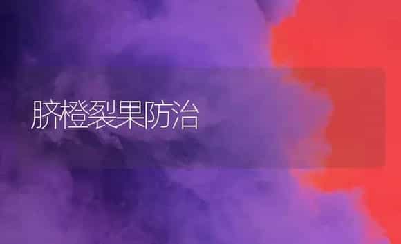 脐橙裂果防治 | 植物科普