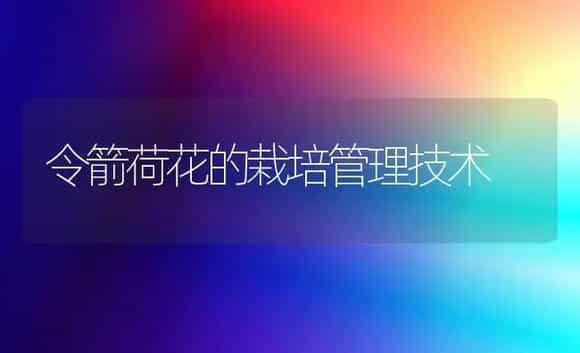 令箭荷花的栽培管理技术 | 植物科普