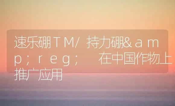 速乐硼ＴＭ/持力硼&reg; 在中国作物上推广应用 | 植物科普