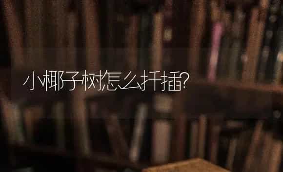 小椰子树怎么扦插？ | 植物问答